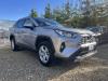 Plačiau apie Toyota RAV4