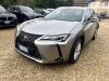 Plačiau apie Lexus UX250h