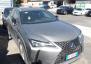 Lexus UX250h