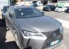 Plačiau apie Lexus UX250h