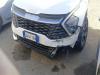 Plačiau apie Kia Sportage